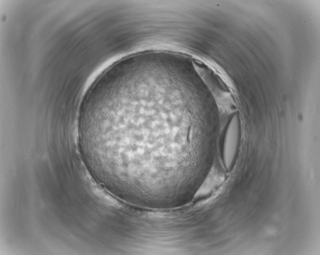 X0000087530904200705112028