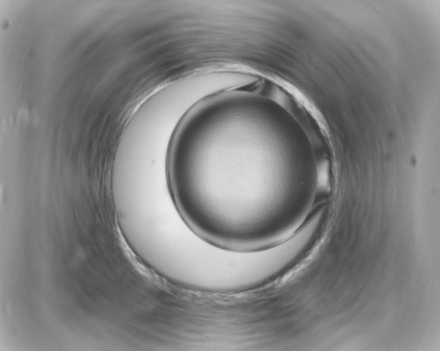 X0000087530905200705112028