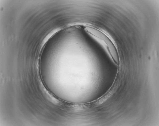 X0000087530906200705112028