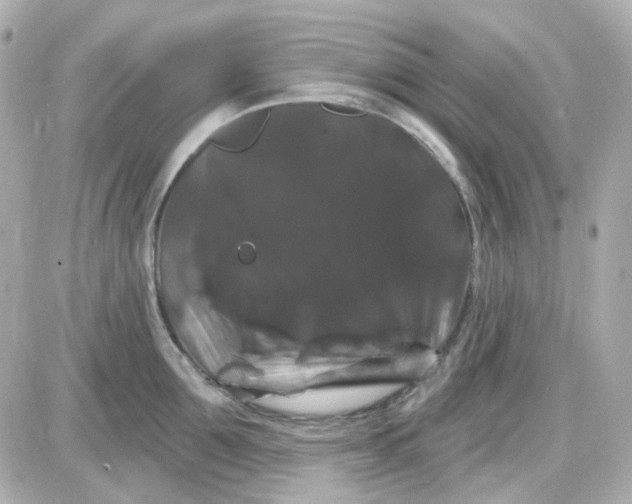 X0000087530907200705112028