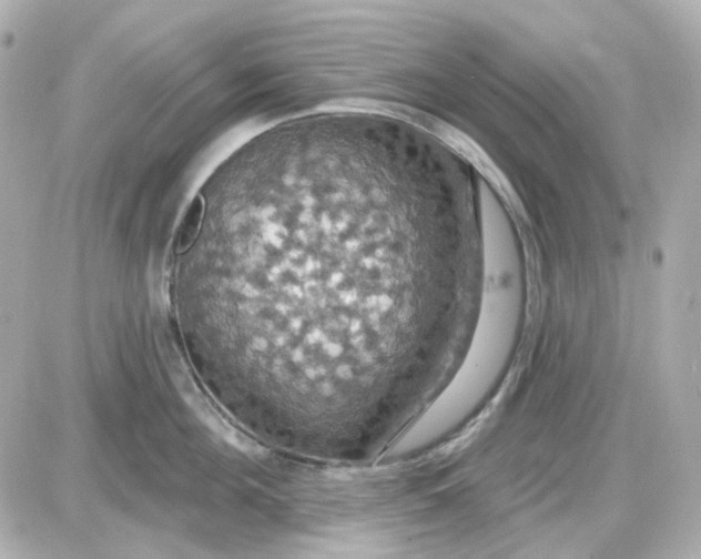 X0000087530908200705112028