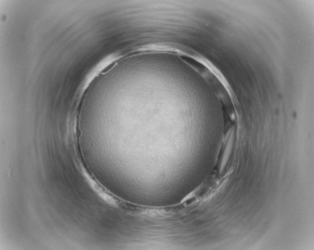 X0000087530909200705112028