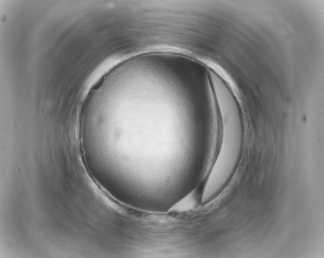 X0000087530910200705112028