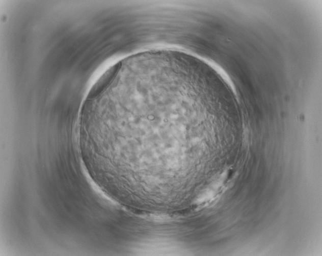 X0000087530911200705112028