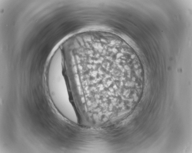 X0000087530912200705112028