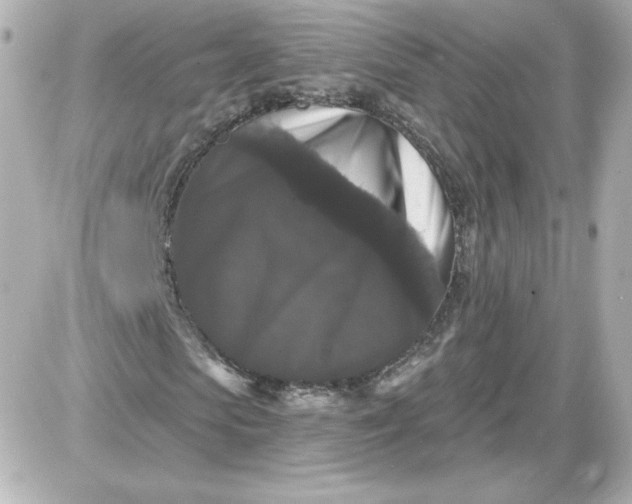 X0000087530913200705112027