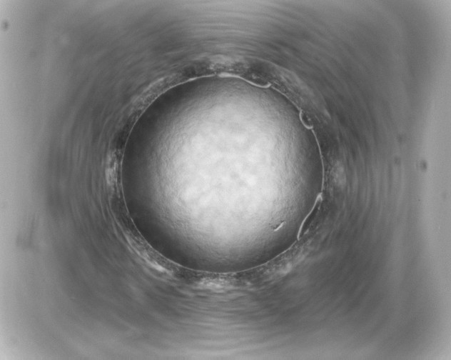 X0000087530914200705112027