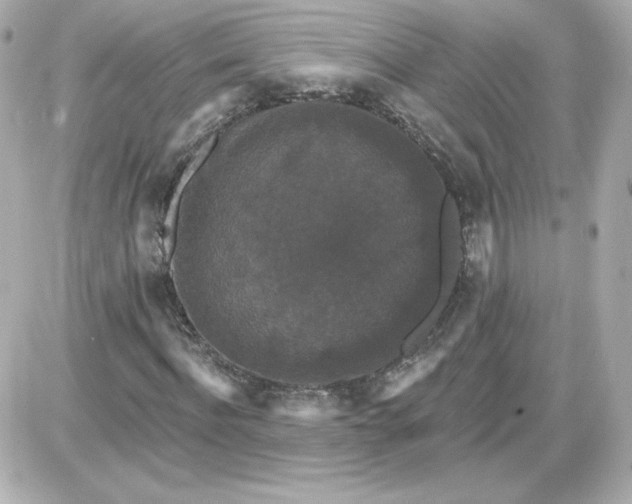 X0000087530916200705112027