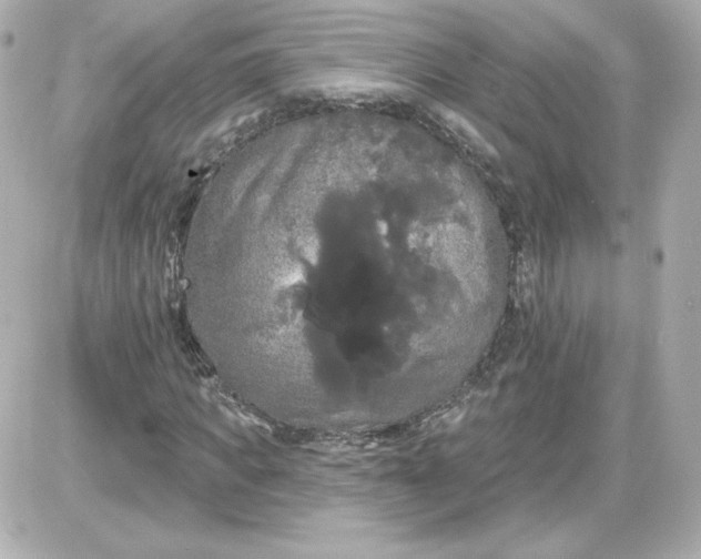 X0000087530917200705112027