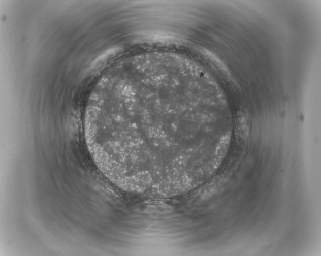 X0000087530918200705112027