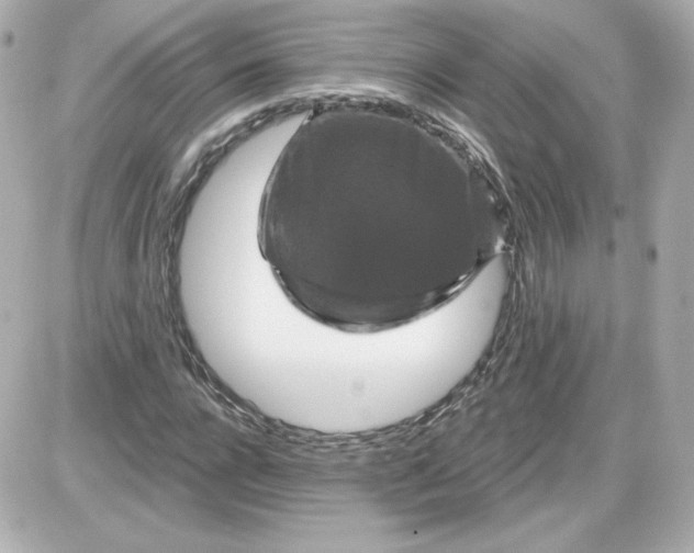 X0000087530920200705112027