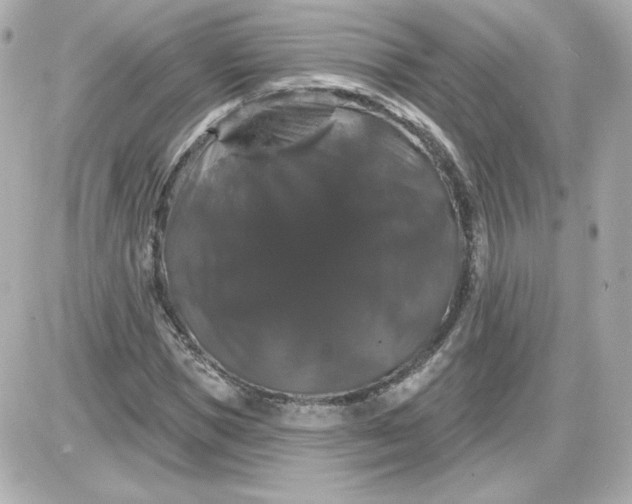 X0000087530921200705112027