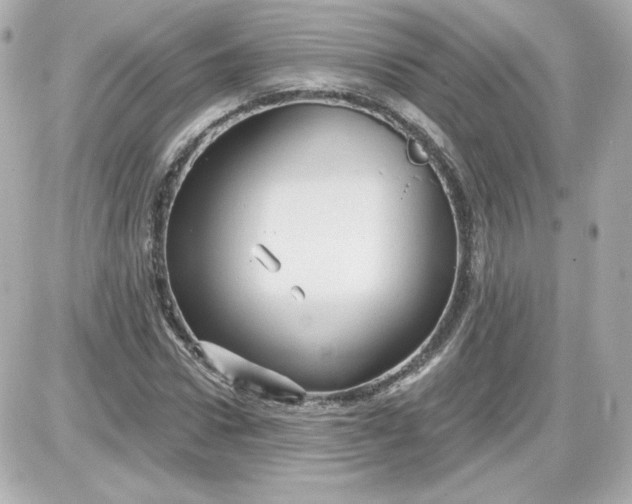 X0000087530922200705112027