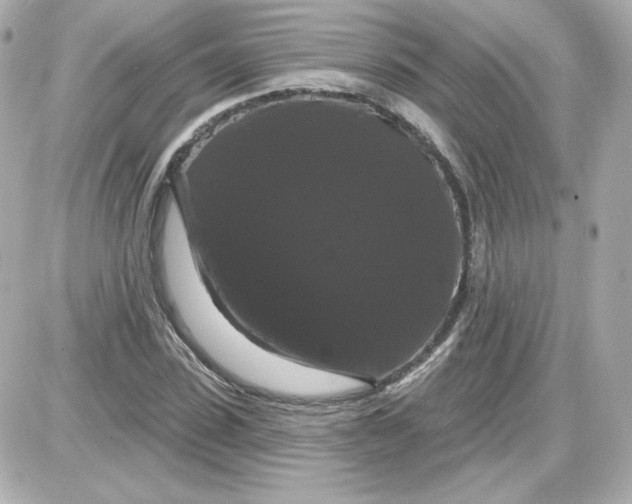 X0000087530923200705112027