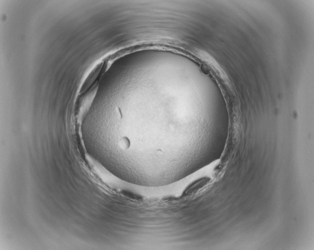 X0000087530924200705112027