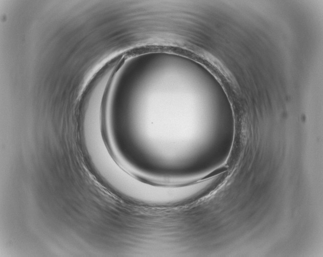 X0000087530926200705112027