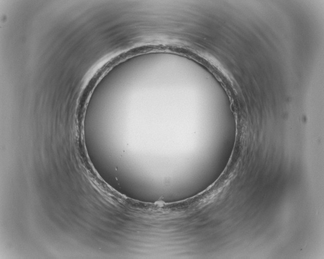 X0000087530927200705112027