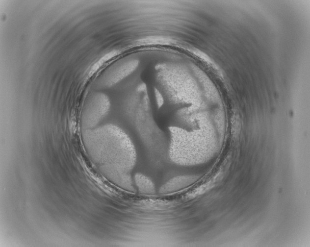 X0000087530929200705112027