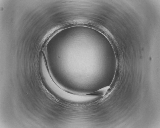 X0000087530930200705112027