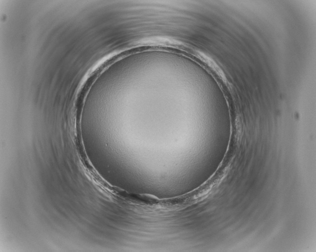 X0000087530931200705112027