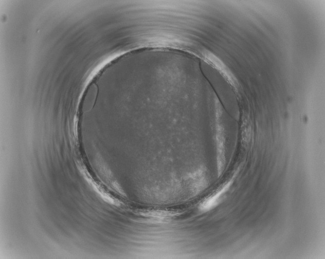 X0000087530932200705112028