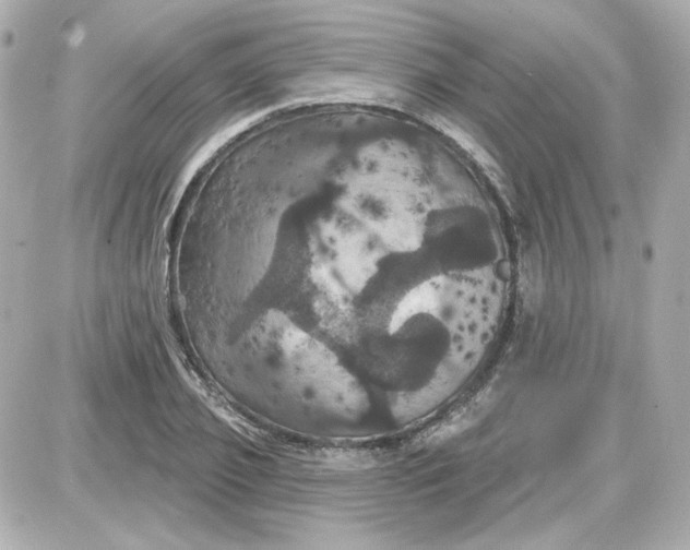 X0000087530933200705112028