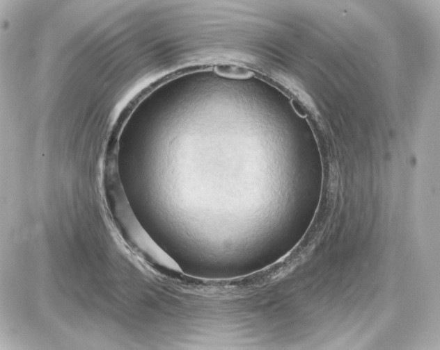 X0000087530936200705112028