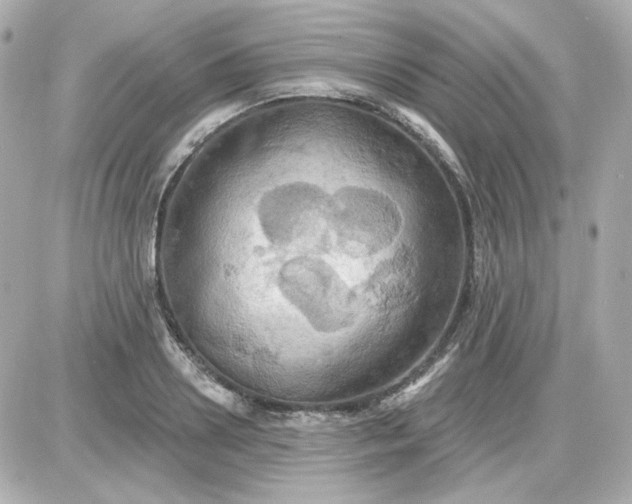 X0000087530938200705112028