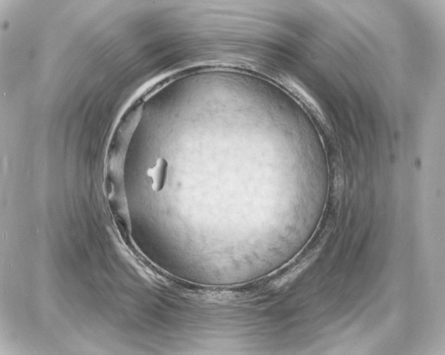 X0000087530940200705112028