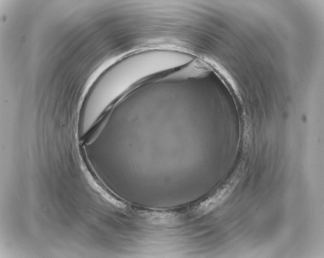 X0000087530941200705112028