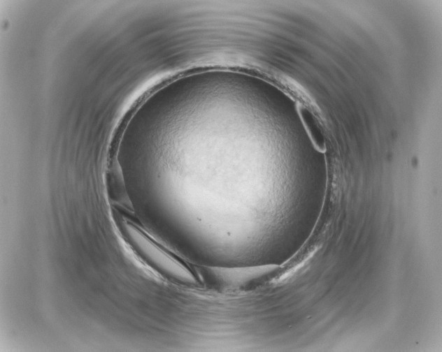 X0000087530942200705112028