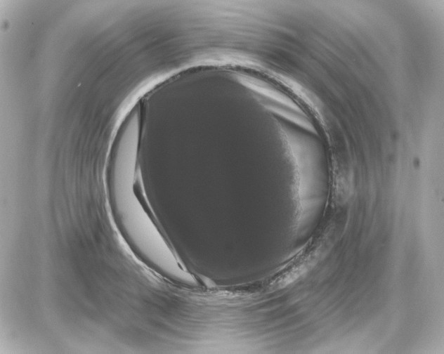 X0000087530943200705112028