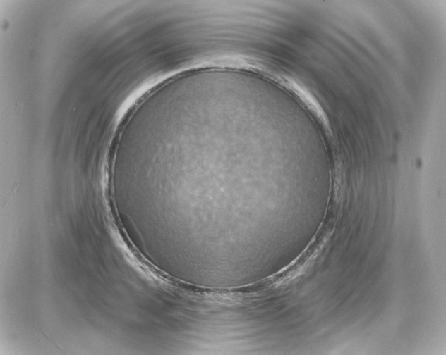 X0000087530944200705112028