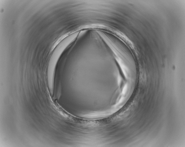 X0000087530945200705112028