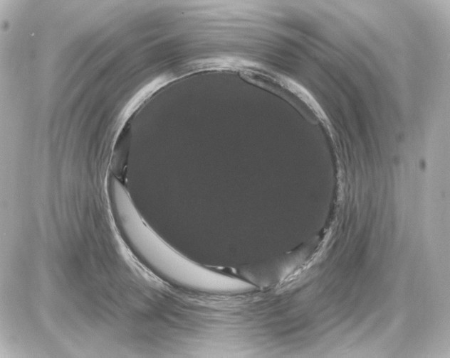 X0000087530946200705112028