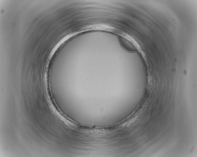 X0000087530947200705112028