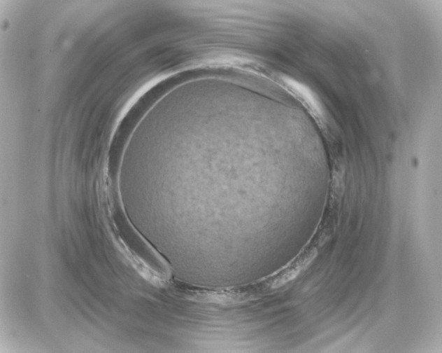 X0000087530948200705112028