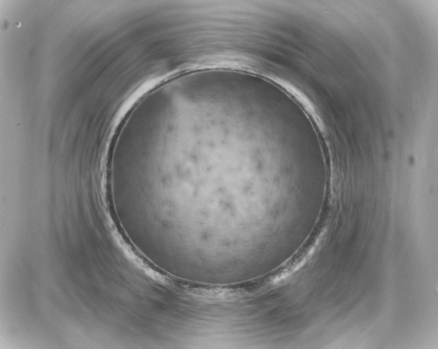 X0000087530949200705112028