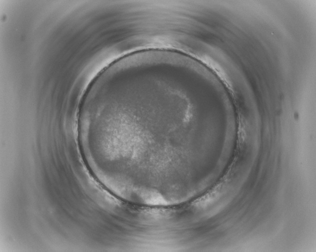 X0000087530950200705112028