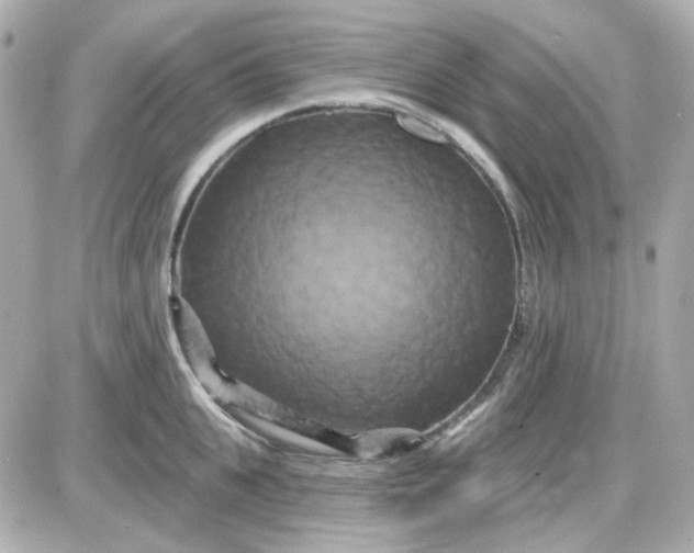 X0000087530951200705112028