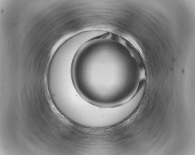 X0000087530952200705112028