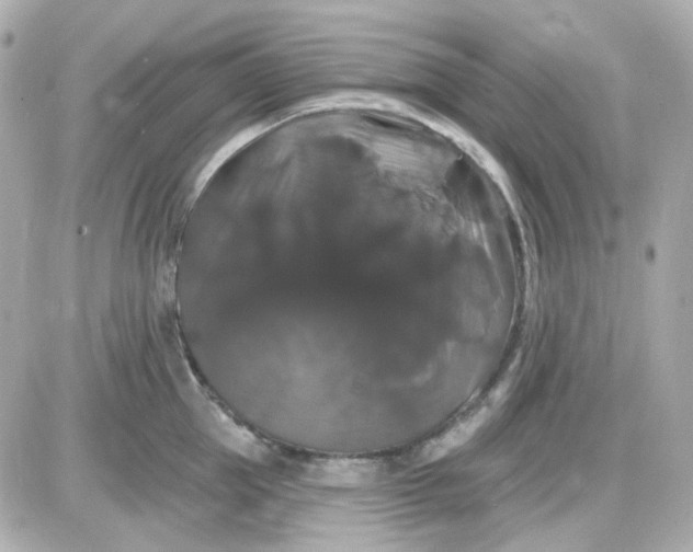 X0000087530953200705112028