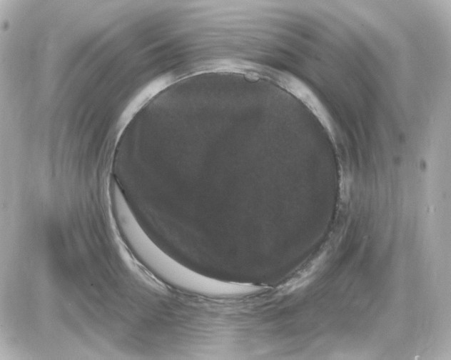 X0000087530954200705112028