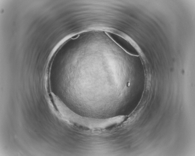 X0000087530955200705112028