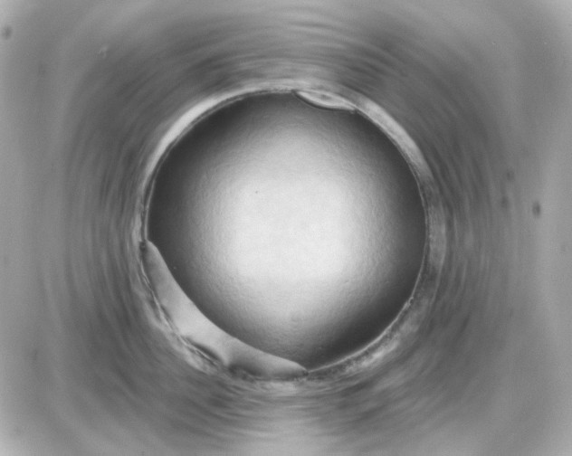 X0000087530956200705112028