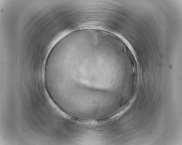 X0000087530957200705112028