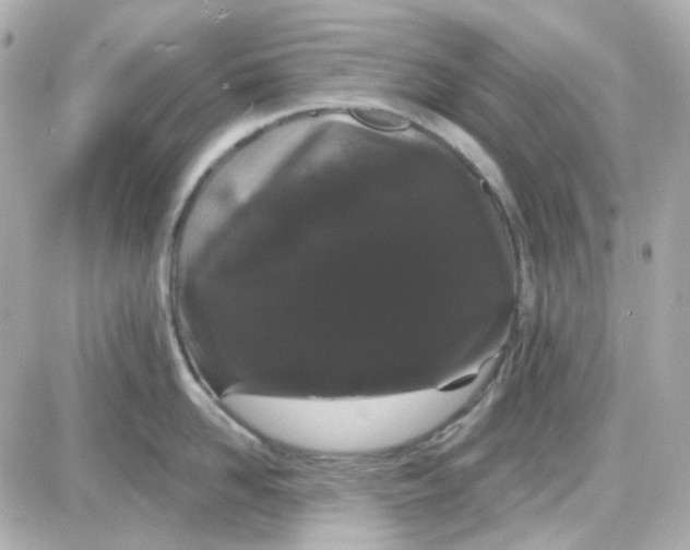 X0000087530958200705112028