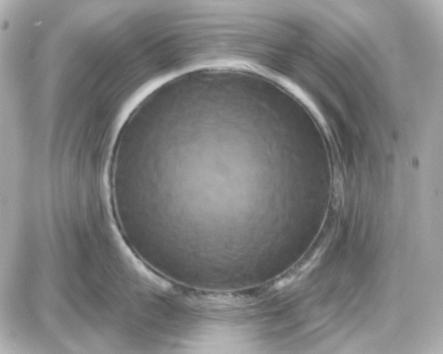 X0000087530959200705112028