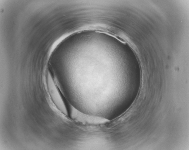 X0000087530960200705112028