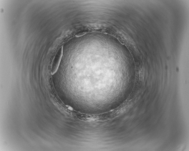 X0000087530961200705112027